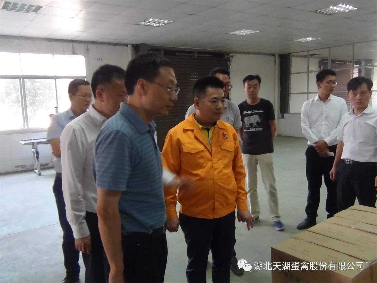 联系我们-果博东方福布斯上下分客服电话 191-870-99992