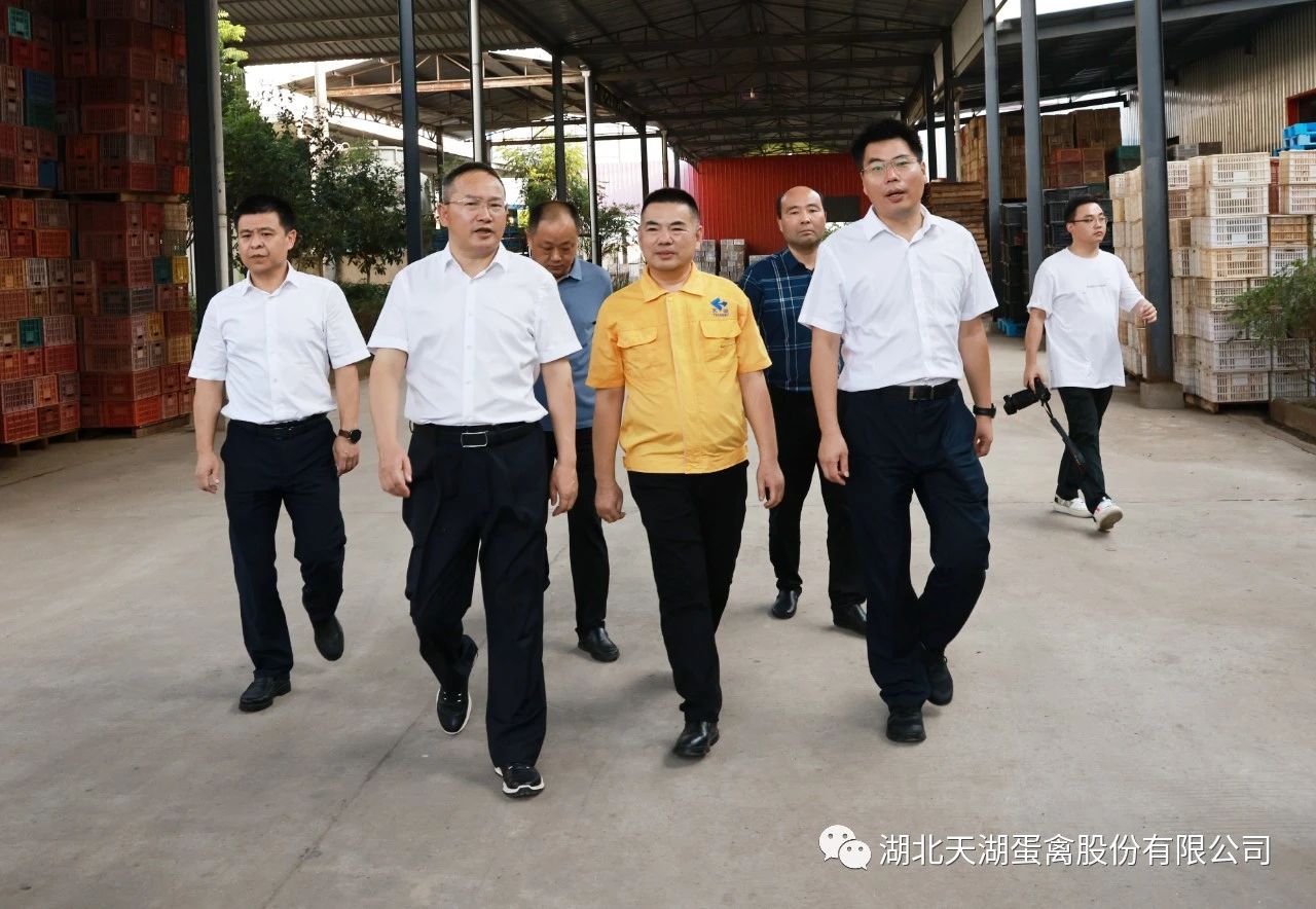 荆州市委书记吴锦调研湖北天湖蛋禽股份有限公司